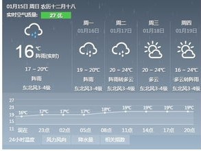 海口天气预报，热带风情中的气候密码