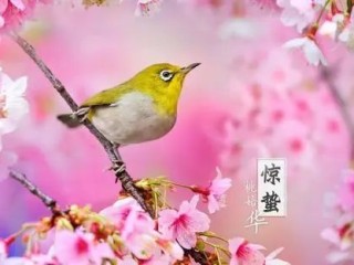 北京一周天气展望，冷暖交替，春意渐浓