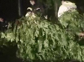 山东大暴雨最新消息，多地发布红色预警，防汛形势严峻