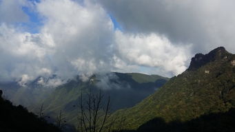 神农架天气预报，在变幻莫测的原始森林中寻找晴雨指南