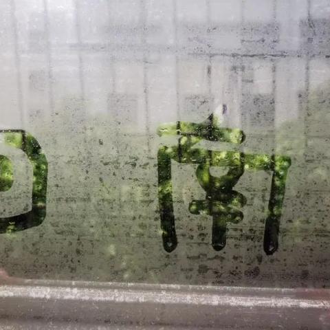 香港正挂牌板挂牌资料-广州天气30天预报,回南天与雷雨交织,未来一个月天气变化全解析 香港正挂牌板挂牌资料-广州天气30天预报,回南天与雷雨交织,未来一个月天气变化全解析