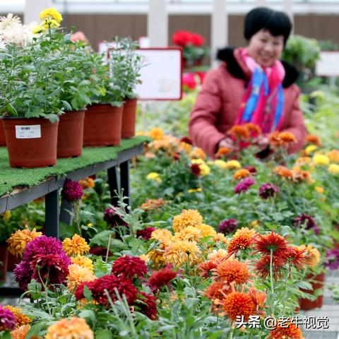 鄢陵天气预报,守护花乡的四季晴雨 鄢陵天气预报,守护花乡的四季晴雨