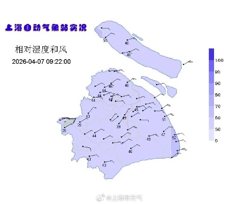 上海天气预报,城市脉搏与天空变奏 上海天气预报,城市脉搏与天空变奏