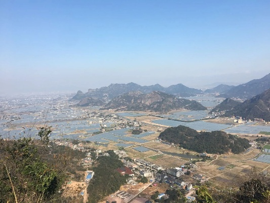 温州苍南天气预报,山海之间的气候密码与生活指南 温州苍南天气预报,山海之间的气候密码与生活指南
