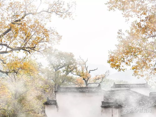 阿克苏的天气,是一首写不完的诗 阿克苏的天气,是一首写不完的诗