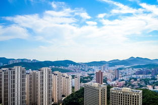 沈丘天气，一座小城的四季呼吸