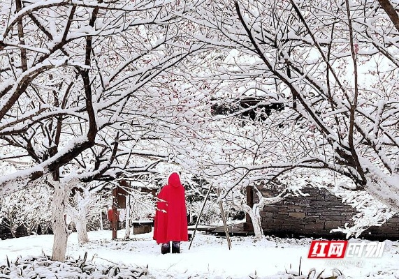 湖南多地将迎暴雪,银装素裹下的冷暖人间 湖南多地将迎暴雪,银装素裹下的冷暖人间