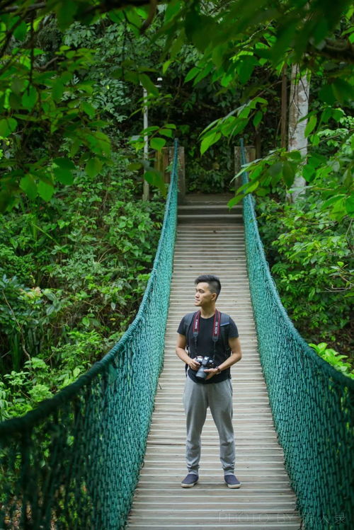 西双版纳旅游攻略,探秘热带雨林与傣族风情的终极指南 西双版纳旅游攻略,探秘热带雨林与傣族风情的终极指南