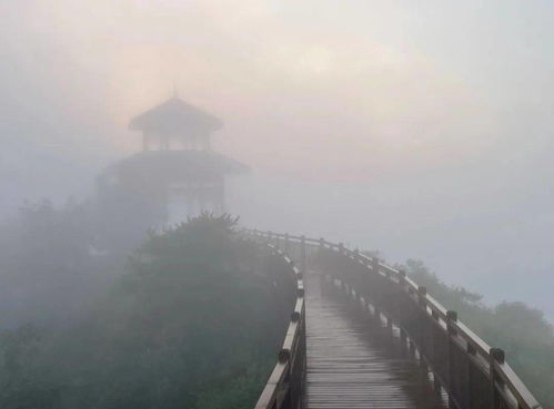 五莲天气预报，山城烟雨里的生活哲学