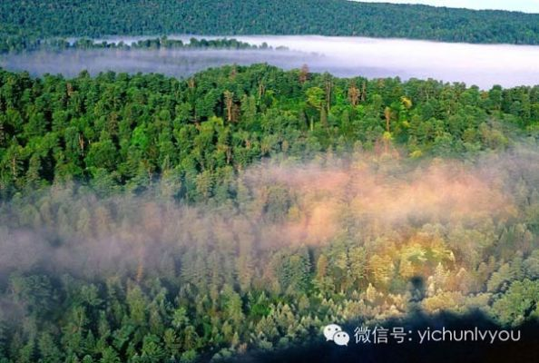 伊春的天气,林海的心跳 伊春的天气,林海的心跳