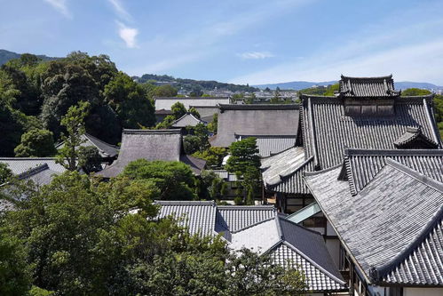 永城天气,四季分明里的生活温情 永城天气,四季分明里的生活温情