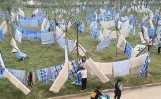 未来一周，冷暖空气上演拉锯战，多地气温如坐过山车