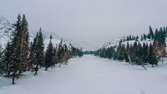 实时降雪图，科技赋能下的冰雪世界精准监测