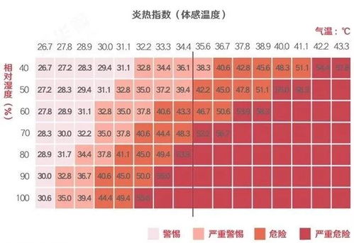 各大城市气温一览表，冷暖之间，读懂城市的温度